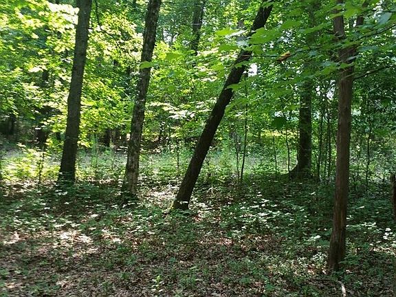 4th image of 50 N River Rd