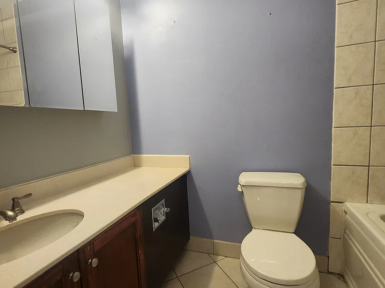 405 N Wabash Ave #309 — Photo 10