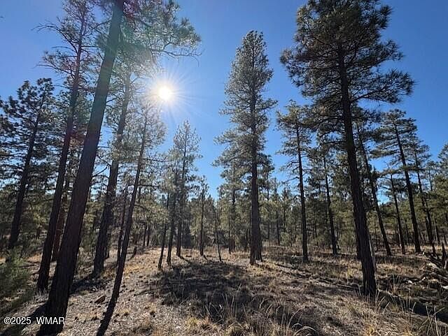 3461 W Black Oak Loop Lot 66 — Torreon Golf Club