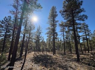 3461 W Black Oak Loop, Show Low, AZ 85901