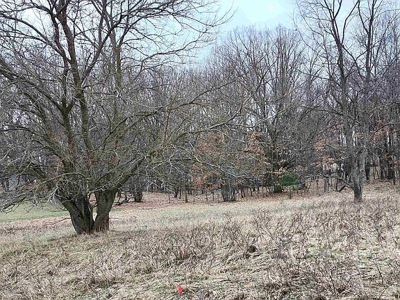 2nd image of 1040 Bundy Dr Lot 372