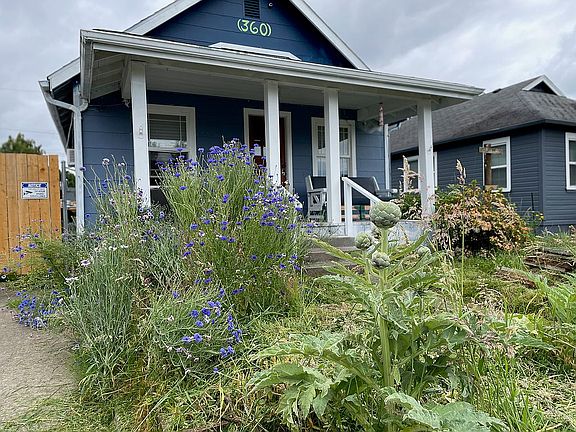 Wild flowers and Artichokes
