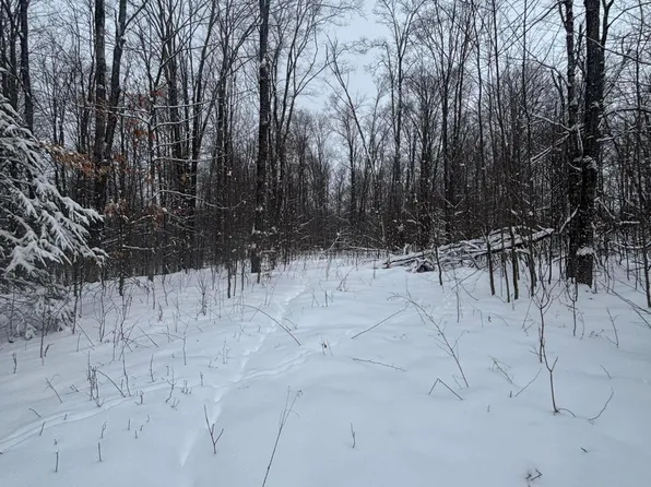 W Poglese Rd, Hessel, MI 49745