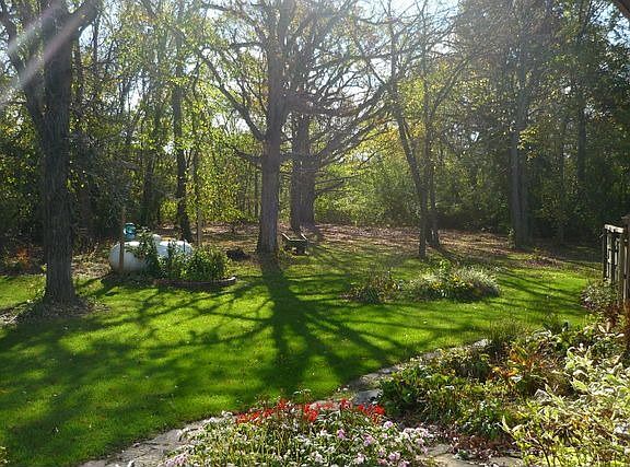side yard, mature oaks