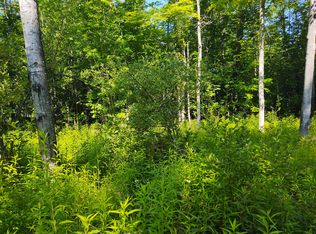 5472 Fishing Site Rd, Hillman, MI 49746