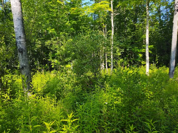 5472 Fishing Site Rd, Hillman, MI 49746