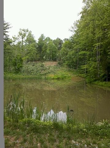 1st image of 0 Spillway Ln