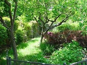 3rd image of 1884 67th Ave