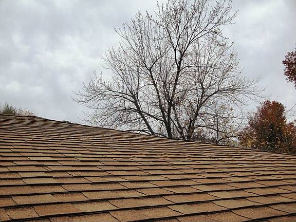 Architectural Shingles