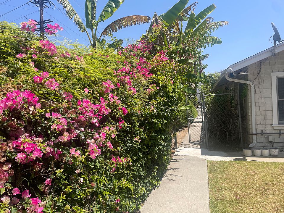 Private path from the triplex to the street. Note parking is by residential permit only.