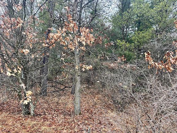 3rd image of 5.99 Ac State Road 13 #1