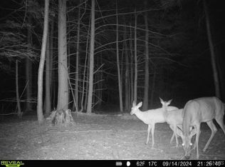 196 Butterfield Rd LOT 19, Lisle, NY 13797