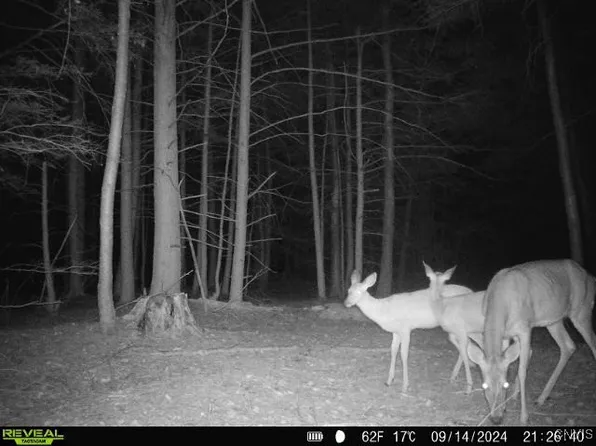 196 Butterfield Rd Lot 19, Lisle, NY 13797