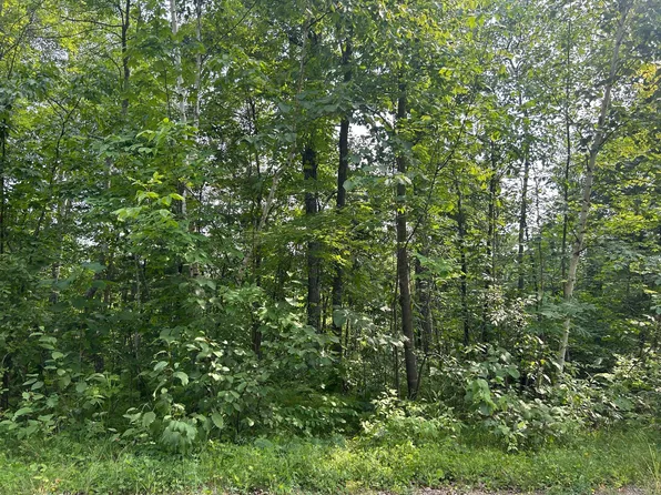 Central St, Garrison, MN 56450