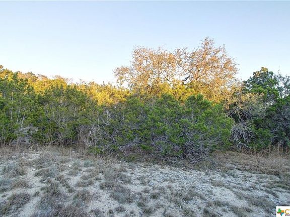 5th image of 350 Primrose Path