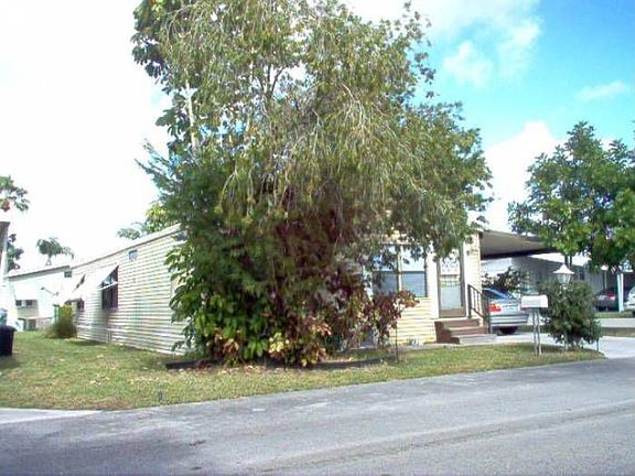 LHF view shaded by tree