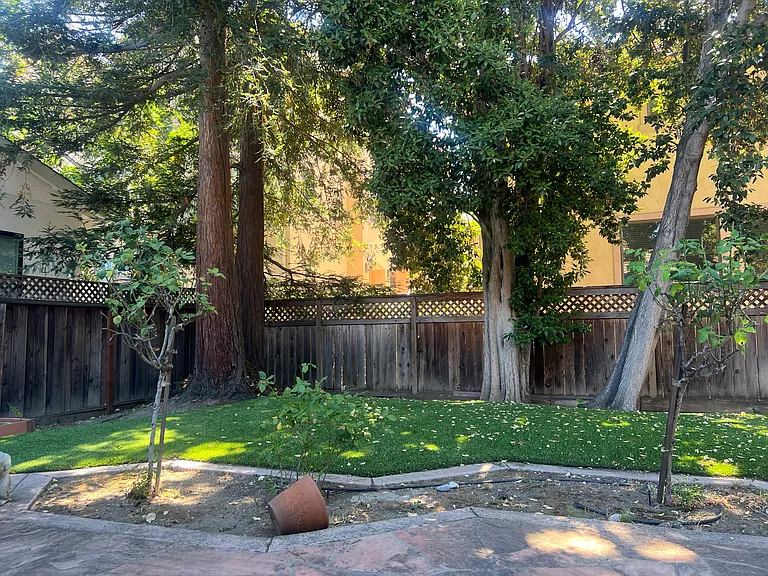 343 Franklin St — Photo 24