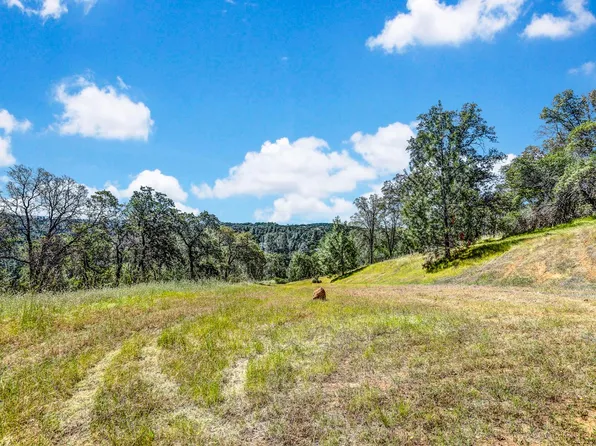 29 Township Rd, Browns Valley, CA 95918
