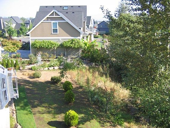 View from back deck