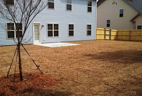 Back yard