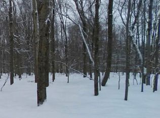 28 Elk Dr, Newfoundland, PA 18445