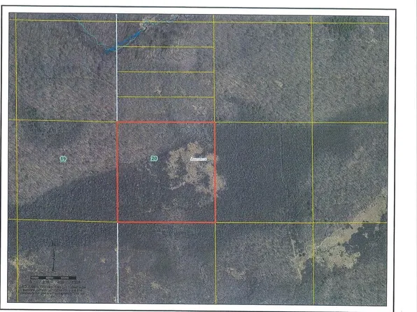 HUNTERS LANE #40 ac. above Hunters, Hawkins, WI 54766