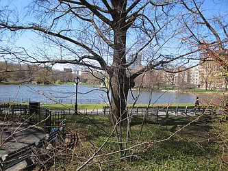 Rented by Ross Realty International