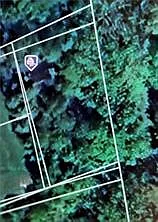411 Miller St photo 1