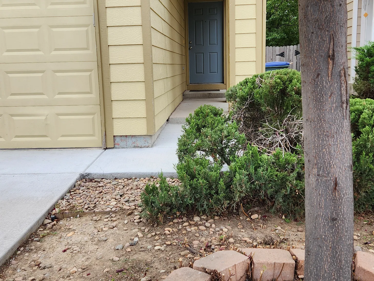3 bed, 1535 sqft, $2,500 — Photo 2