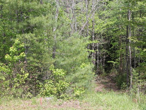 5th image of Cumberland Lakes Dr
