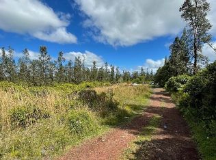 16-1447 Uhini Ana Rd #1-LOT 2565, Mountain View, HI 96771