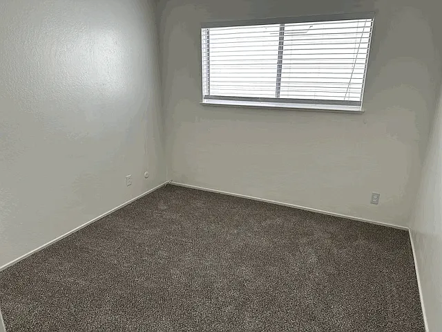 2 bed, 1.0 bath, 900 sqft, $2,600 — Photo 3