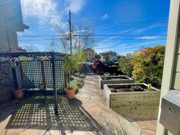 front yard and veggie boxes
