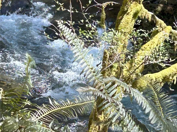 115 Buckhorn Road, Oroville, WA 98844