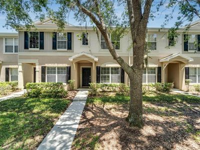 15856 Fishhawk View Dr, Lithia, FL, 33547