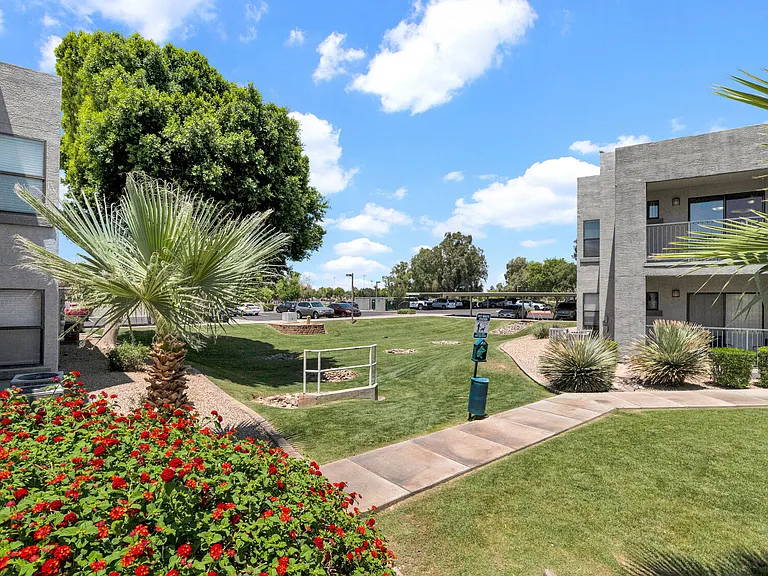 Esteban Park — Photo 25