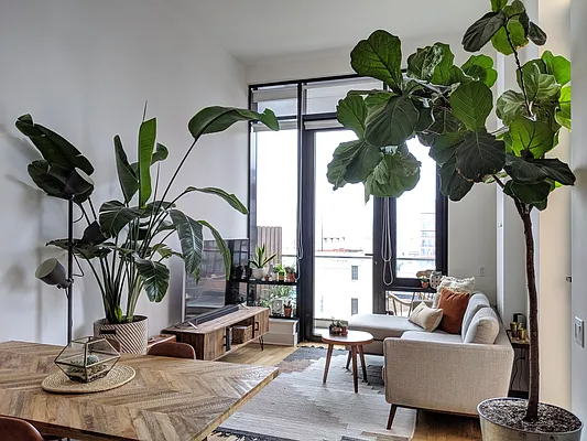 Rented by Storm Living LLC | media 2