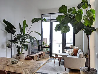 Rented by Storm Living LLC