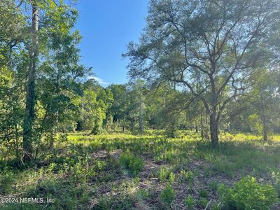 1962 CRESTVIEW Court, Middleburg, FL, 32068