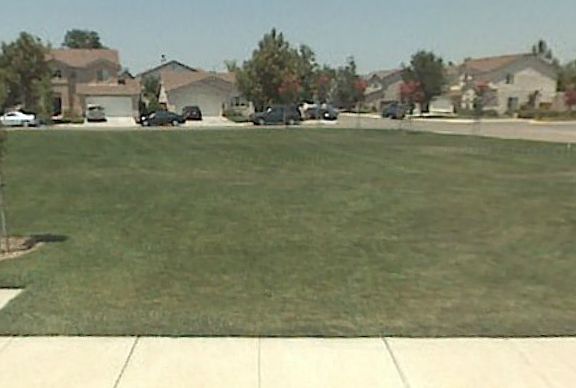 Park 