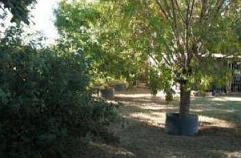 3rd image of 249 Toledo Pl