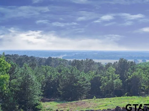 LOT 30 Acr 453, Montalba, TX 75853