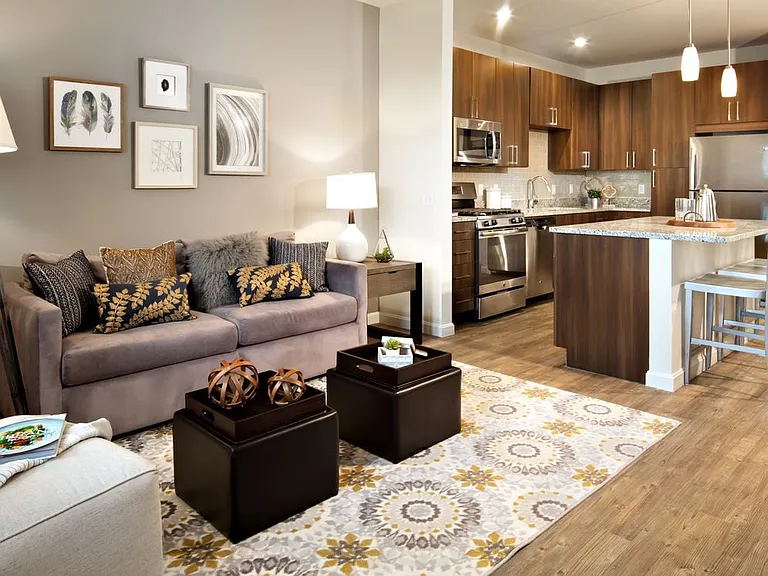 Phase 1 Apartment Home Kitchen and Living Area
