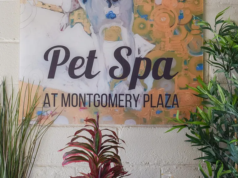 Complimentary Pet Spa