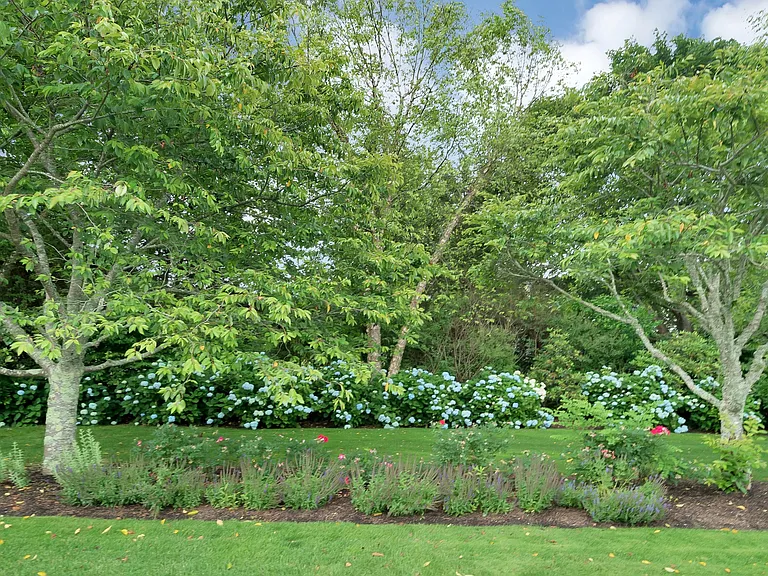 25 Swans Neck Ln — Photo 22