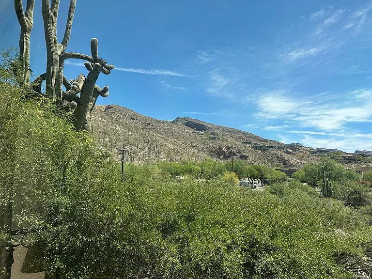 View from living room window