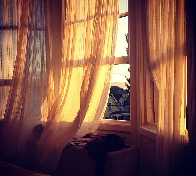 Morning sun comes in at an angle.