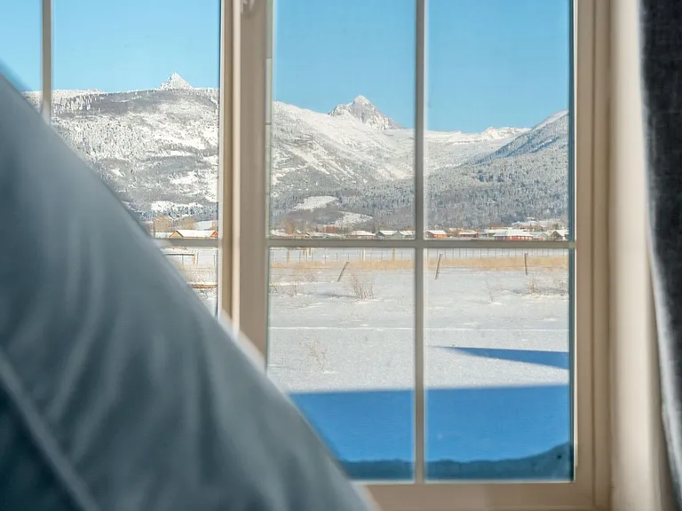Window View