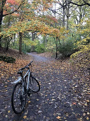 Rented by Space Real Estate | media 50