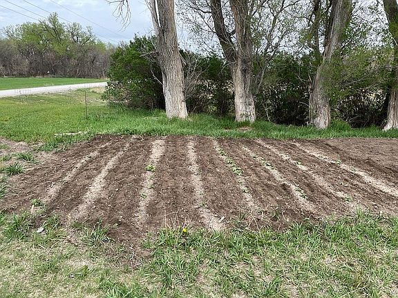 Half of the garden site